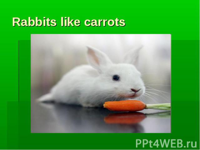Rabbits like carrots