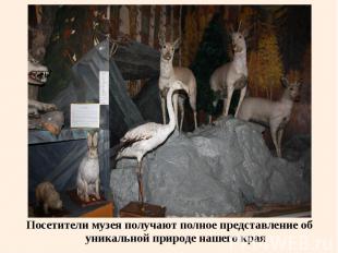 Посетители музея получают полное представление об уникальной природе нашего края