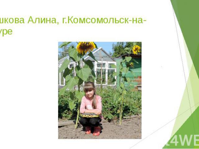 Пашкова Алина, г.Комсомольск-на-Амуре