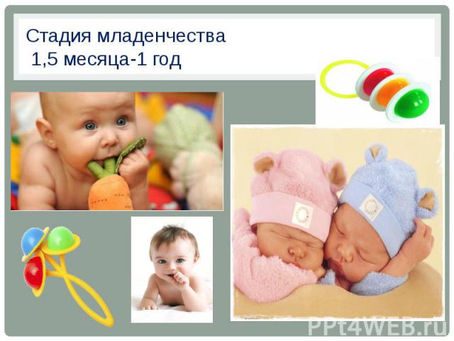 Стадия младенчества 1,5 месяца-1 год