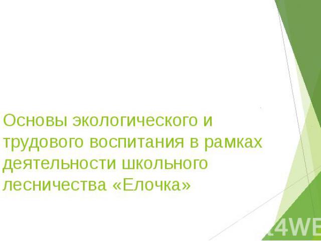 Основы экологического и трудового воспитания в рамках деятельности школьного лесничества «Елочка»