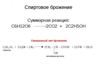 Спиртовое брожение Суммарная реакция: С6Н12О6 2СО2 + 2С2Н5ОН