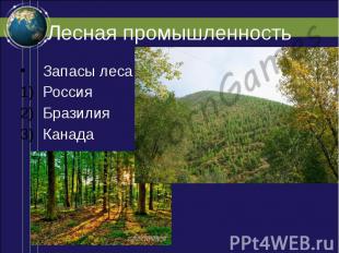 Лесная промышленность Запасы леса Россия Бразилия Канада