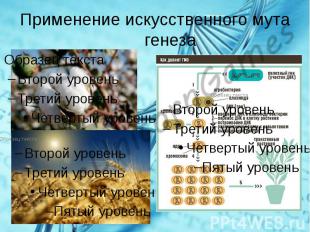 Текст к презентации http://rlu.ru/022DHn