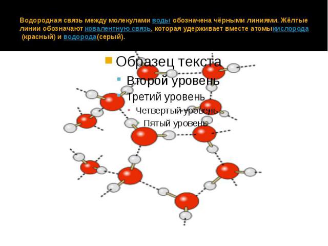 Водородная связь между молекулами воды обозначена чёрными линиями. Жёлтые линии обозначают ковалентную связь, которая удерживает вместе атомыкислорода (красный) и водорода(серый).