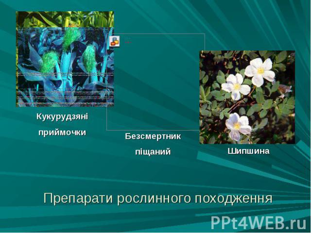 Препарати рослинного походження Препарати рослинного походження