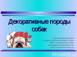 Декоративные породы собак Презентацию выполнила Белкина Анастасия ученица 4 клас