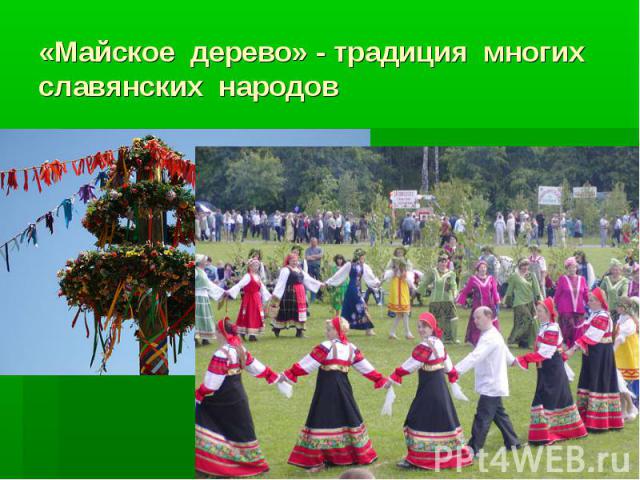 «Майское дерево» - традиция многих славянских народов