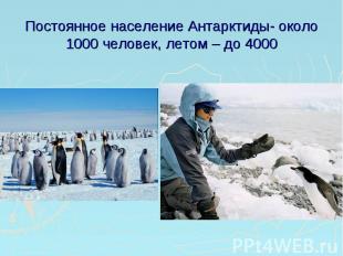 Постоянное население Антарктиды- около 1000 человек, летом – до 4000