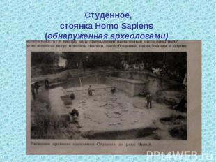 Студенное,стоянка Homo Sapiens(обнаруженная археологами)