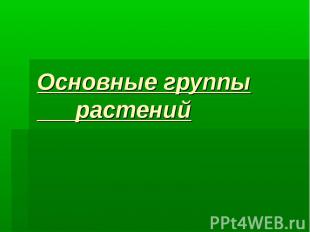 Основные группы растений