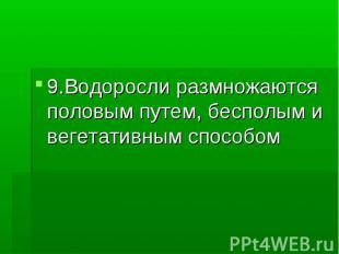 9.Водоросли размножаются половым путем, бесполым и вегетативным способом