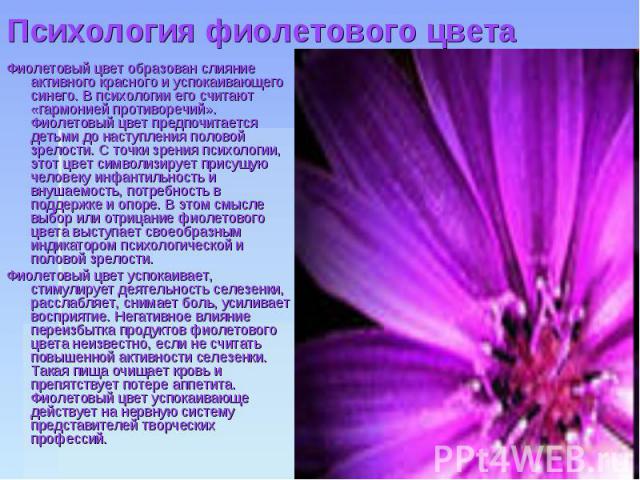 Психология фиолетового цвета Фиолетовый цвет образован слияние активного красного и успокаивающего синего. В психологии его считают «гармонией противоречий». Фиолетовый цвет предпочитается детьми до наступления половой зрелости. С точки зрения психо…