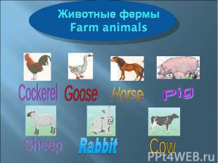 Животные фермыFarm animals