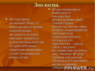 Зоология. Местная фауна насчитывает более 35 видов крупных и мелких млекопитающи