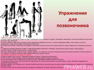 Упражнения для позвоночникаУпражнения для шейного отдела:А) Корпус прямой, подбо