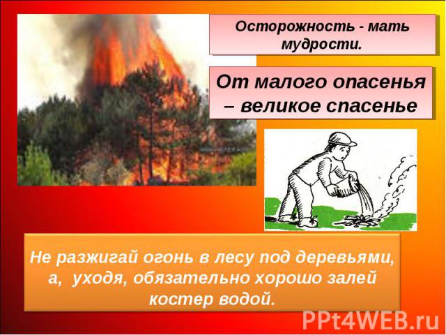 Осторожность - мать мудрости.От малого опасенья – великое спасеньеНе разжигай огонь в лесу под деревьями, а, уходя, обязательно хорошо залей костер водой.
