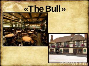 «The Bull»