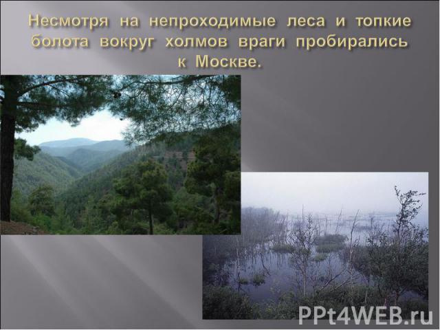 Несмотря на непроходимые леса и топкие болота вокруг холмов враги пробирались к Москве.