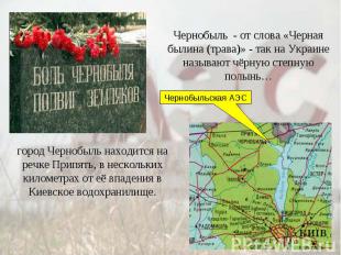 Чернобыль - от слова «Черная былина (трава)» - так на Украине называют чёрную ст