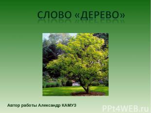 Слово «Дерево» Автор работы Александр КАМУЗ