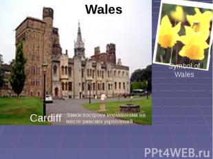 Wales Symbol of Wales