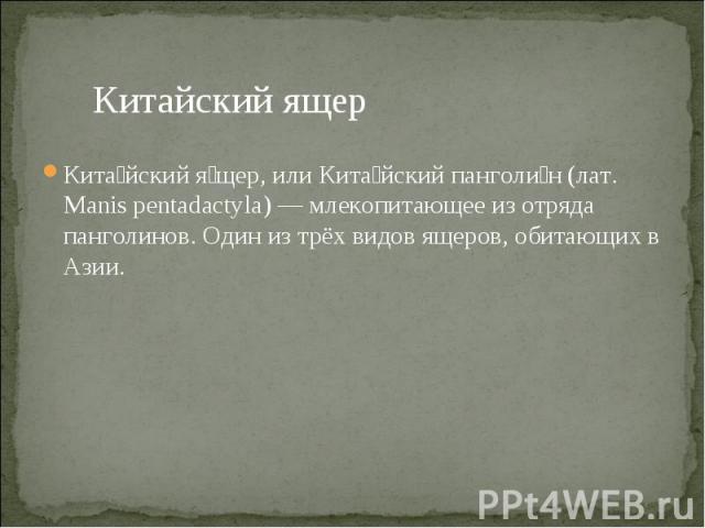 Китайский ящер Китайский ящер, или Китайский панголин (лат. Manis pentadactyla) — млекопитающее из отряда панголинов. Один из трёх видов ящеров, обитающих в Азии.