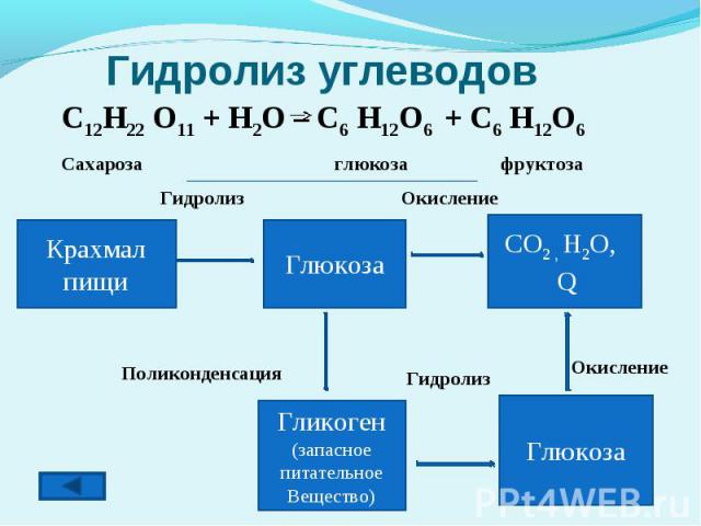 Гидролиз углеводов C12H22 O11 + H2O – C6 H12O6 + C6 H12O6Сахароза глюкоза фруктоза