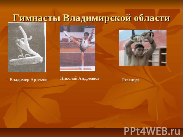 Гимнасты Владимирской области