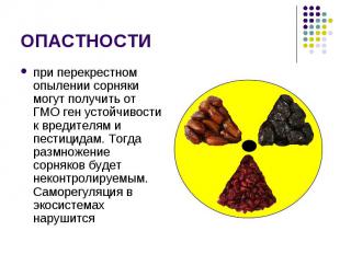 ОПАСТНОСТИ при перекрестном опылении сорняки могут получить от ГМО ген устойчиво