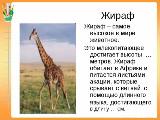 Жираф Жираф – самое высокое в мире животное. Это млекопитающее достигает высоты … метров. Жираф обитает в Африке и питается листьями акации, которые срывает с ветвей с помощью длинного языка, достигающего в длину … см.