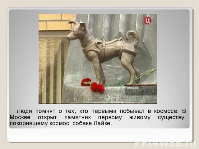 Люди помнят о тех, кто первыми побывал в космосе. В Москве открыт памятник первому живому существу, покорившему космос, собаке Лайке.