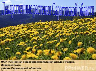 Лекарственные растения Саратовской области МОУ «Основная общеобразовательная шко