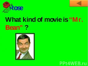 RoseWhat kind of movie is “Mr. Bean” ?