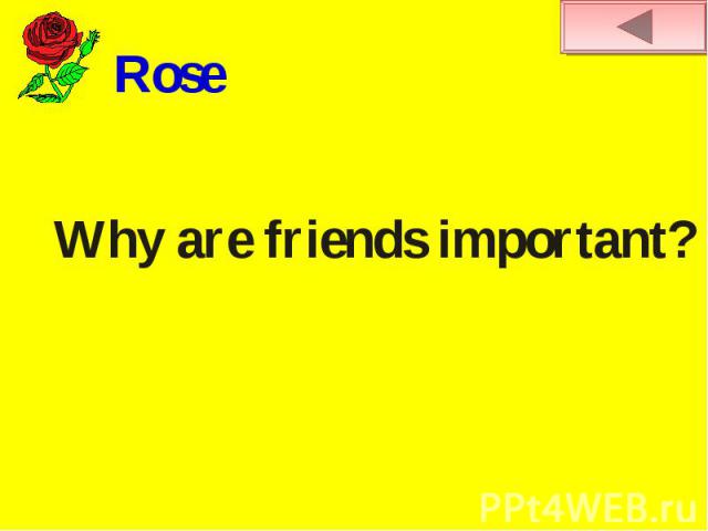 RoseWhy are friends important?