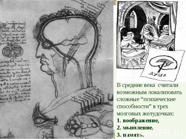 В средние века считали возможным локализовать сложные “психические способности” в трех мозговых желудочках: воображение, мышление, память.