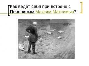 Как ведёт себя при встрече с Печориным Максим Максимыч?