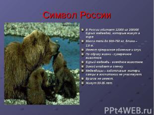Символ России В России обитает 12000 из 200000 бурых медведей, которые живут в м