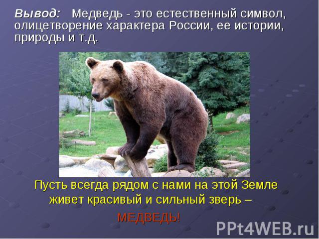 Вывод: Медведь - это естественный символ, олицетворение характера России, ее истории, природы и т.д. Пусть всегда рядом с нами на этой Земле живет красивый и сильный зверь – МЕДВЕДЬ!