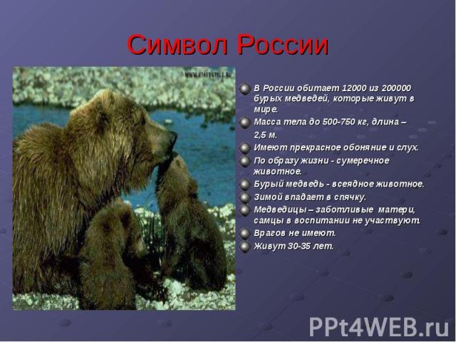 Символ России В России обитает 12000 из 200000 бурых медведей, которые живут в мире.Масса тела до 500-750 кг, длина – 2,5 м.Имеют прекрасное обоняние и слух.По образу жизни - сумеречное животное.Бурый медведь - всеядное животное.Зимой впадает в спяч…