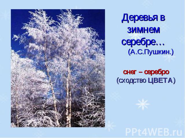 Деревья в зимнем серебре…(А.С.Пушкин.)снег – серебро (сходство ЦВЕТА)