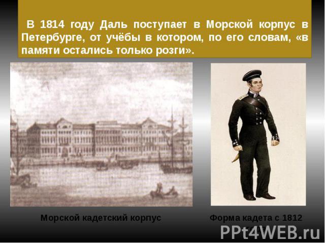 В 1814 году Даль поступает в Морской корпус в Петербурге, от учёбы в котором, по его словам, «в памяти остались только розги».