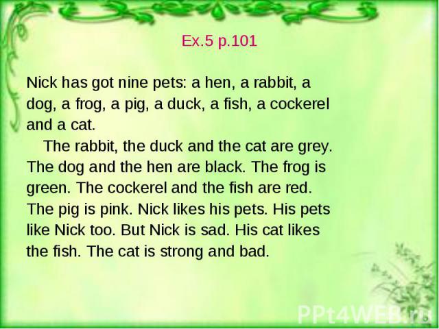 Ex.5 p.101 Ex.5 p.101 Nick has got nine pets: a hen, a rabbit, a dog, a frog, a pig, a duck, a fish, a cockerel and a cat. The rabbit, the duck and the cat are grey. The dog and the hen are black. The frog is green. The cockerel and the fish are red…
