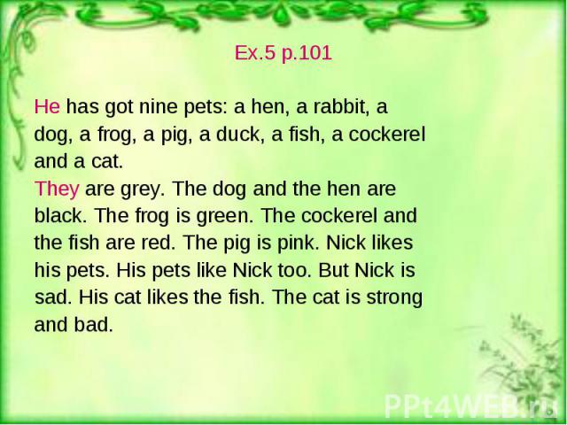 Ex.5 p.101 Ex.5 p.101 He has got nine pets: a hen, a rabbit, a dog, a frog, a pig, a duck, a fish, a cockerel and a cat. They are grey. The dog and the hen are black. The frog is green. The cockerel and the fish are red. The pig is pink. Nick likes …