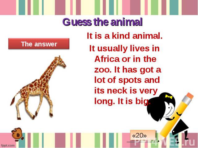 It is a kind animal. It is a kind animal. It usually lives in Africa or in the zoo. It has got a lot of spots and its neck is very long. It is big.