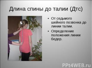 Длина спины до талии (Дтс) От седьмого шейного позвонка до линии талии.Определен