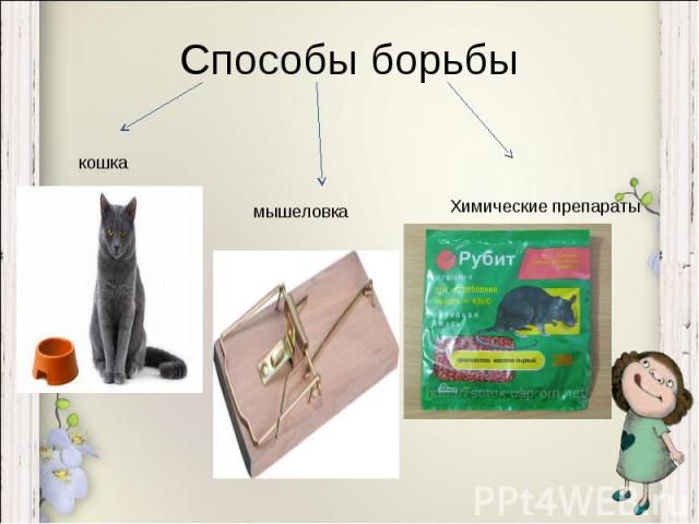 Способы борьбы кошкамышеловкаХимические препараты