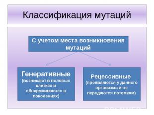 Классификация мутаций С учетом места возникновения мутацийГенеративные (возникаю