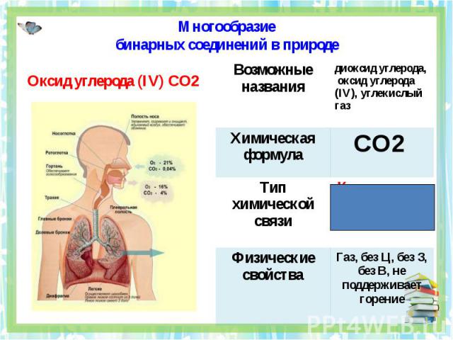Многообразиебинарных соединений в природе Оксид углерода (IV) CO2