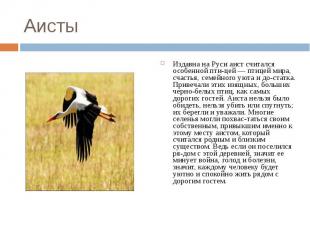 Аисты Издавна на Руси аист считался особенной птицей — птицей мира, счастья, сем